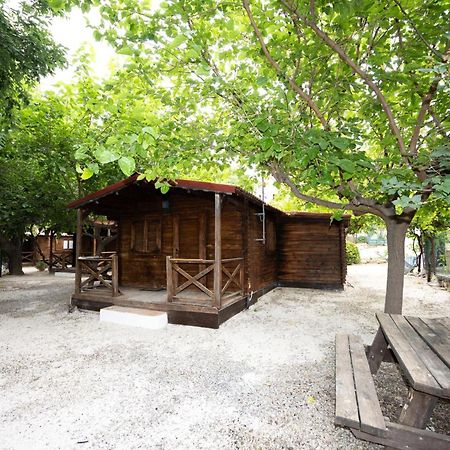 Cabanas Rurales - Las Taneas Yeste Kültér fotó